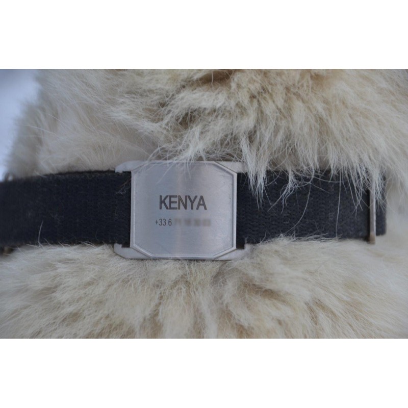 Tag for harness